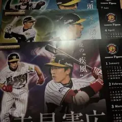 阪神タイガース2006年カレンダー 阪神タイガース 卓上カレンダーカード 2006年7月 - メルカリ