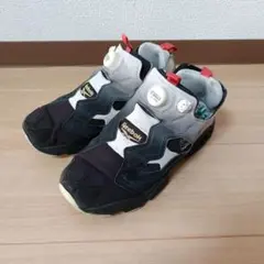 Reebokインスタポンプフューリー 25.5