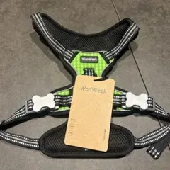 Item thumbnail for item 06f7bdf3-da6a-49f7-adef-920a10c91d05