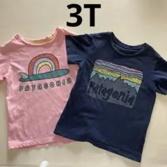 【3T】パタゴニアTシャツ　二枚セット