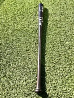 Item thumbnail for item d2c6a3d5-efac-49ea-ac02-47257b897b45