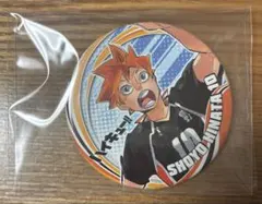 2026年最新】ハイキュー!! 缶バッジ 日向翔陽 プール掃除ver.の人気