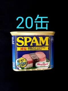 沖縄限定ラベル SPAM スパム 減塩 340g 20缶 - メルカリ