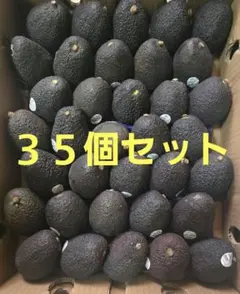 ペルー産　アボカド　1箱35個入りのサムネイル