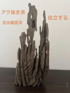 古代天然香木 沈香原木103g 茶道具タニシャム沈香伽羅聞香 香道具
