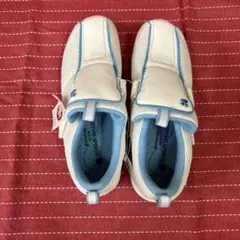 Item thumbnail for item 9ac37cc4-d0bf-46e8-a0d2-41291e954c85