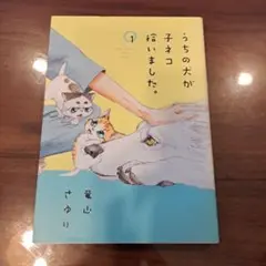 うちの犬が子ネコ拾いました。 1