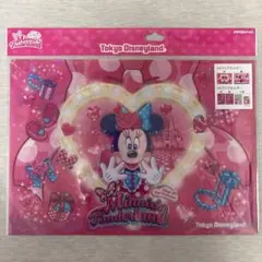 本文必読★ディズニー　パルパルーザ　クリアホルダー２枚　ミニーのファンダーランド