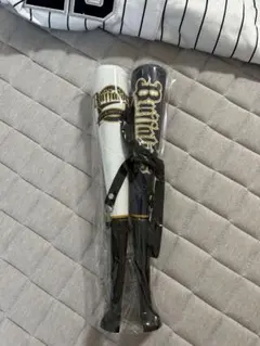 Item thumbnail for item 0d4ca3b3-831b-4d36-8d9a-187eacb55414