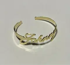 Item thumbnail for item a93ee6e9-6bcd-4bc1-9bfa-349af6f68d90