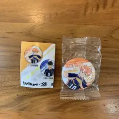 びっくらポン　ハイキュー‼︎ 日向翔陽