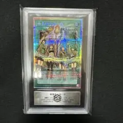 ポケモンカード ARS10 鑑定書付き カミツレのきらめき SR 246/172