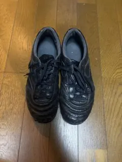 Item thumbnail for item f439c8e2-b563-4b81-b1fa-48a3489542b1