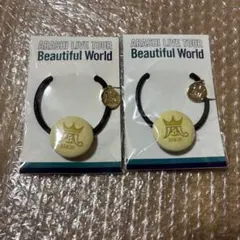 嵐 公式LIVEグッズ ヘアゴム 新品　黄色2個セット