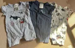 Item thumbnail for item d92c9b44-9e3d-4ab0-854b-6e5766e0f1ed