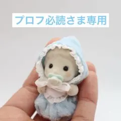 プロフ必読‪さま専用