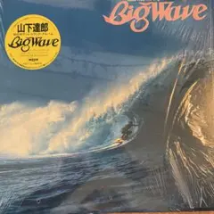 超音波洗浄済み】山下達郎 Big Wave 30th LP レコード - メルカリ
