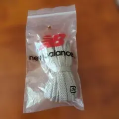 Item thumbnail for item 973b50a7-2700-4074-9bbd-24fa81b66886