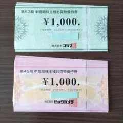 ビックカメラ　コジマ　株主優待券　5000円分