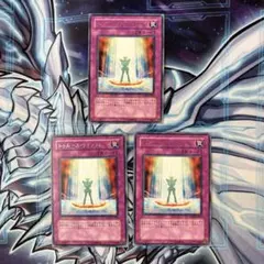 suizack様 リクエスト 2点 まとめ商品