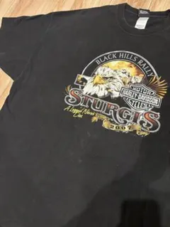 HARLEY-DAVIDSON ハーレーダビッドソン 2007年 STURGIS