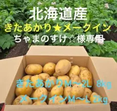 ちゃまのすけ☆様 きたあかり（M〜2L）8kg★メークイン（M〜L）2kg