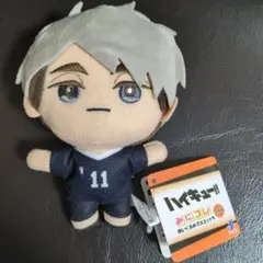 ハイキュー!! みにコレ ぬいぐるみマスコット 稲荷崎高校