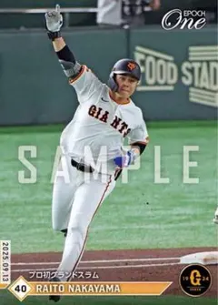 Item thumbnail for item f7a4d6cd-85a4-4021-9bd1-73ac0bebec1b