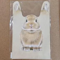 フェリシモ　うさ耳がぴょこん！うさぎのおすそわけ袋　ラッピング　新品未開封