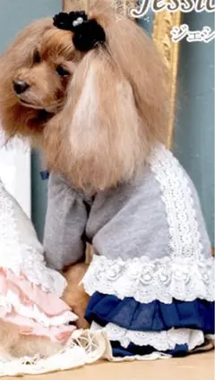 Item thumbnail for item dacdd62c-b51d-4144-b05e-c8525498c5c9