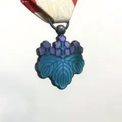 7등급 블루 키리하 메달 공로상 (희귀 케이스 포함)