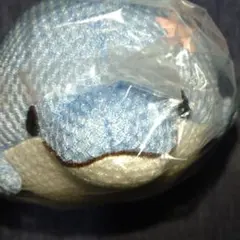 Item thumbnail for item 98aa3dd1-15ab-475f-9771-49702fa4d6c3