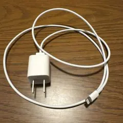 Apple 充電器 Lightningケーブル セット