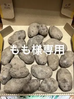 2026年最新】グラウンドペチカの人気アイテム - メルカリ