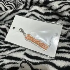 SEVENTEENセブチEXHIBITION キーリングデコパーツ スングァン