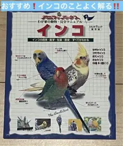 Item thumbnail for item 7463241b-1df9-4b2e-96f9-c10c64e5eb82