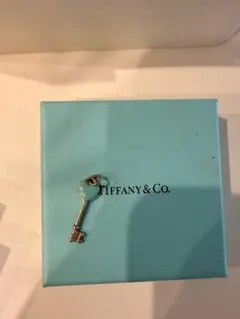 Tiffany & Co. アクセサリーセット