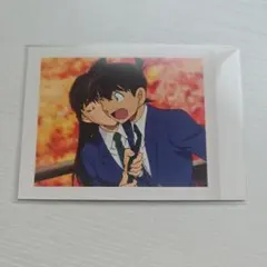 名探偵コナン ぱしゃこれ 工藤新一 毛利蘭 紅の修学旅行
