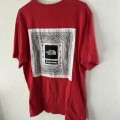 Supreme × The North Face Bandana Tee