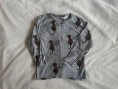 ZARAKIDS トラ柄ロンT 100 104