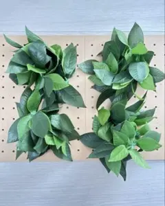 Item thumbnail for item 4b9b86b2-af15-4535-83d7-ad47a20656ac