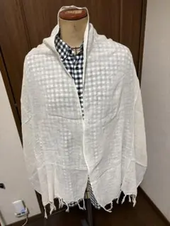 Item thumbnail for item c2a48d82-4de8-42f2-8482-415dbef097ec