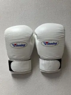 Item thumbnail for item fa4f34a3-330e-40ad-a531-730c682e5e31