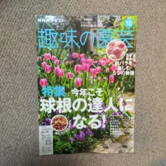 リリー様 リクエスト 2点 まとめ商品