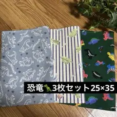 【*˙︶˙*お買い得】③恐竜ランチョンマット25×35 3枚セットハンドメイド