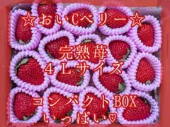 おぱんちゅ苺♡おいCベリー♡完熟苺♡４Ｌサイズ♡コンパクトBOXいっぱい♡