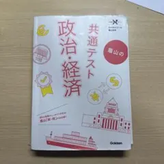 蔭山の共通テスト政治経済