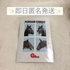 【即日匿名発送】ペルシアンナイト 証明写真風プリント