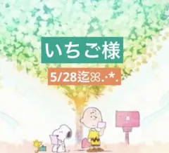 いちご様 専用ページ