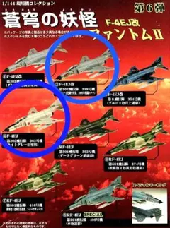 【まとめ売り】童友社　 F-4EJ改 ファントム2 　蒼穹の妖怪　 1/144のサムネイル